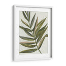 Pastel Frond Ii - Jennifer Goldberger | Cuadro decorativo de Canvas Lab