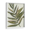 Pastel Frond Ii - Jennifer Goldberger | Cuadro decorativo de Canvas Lab