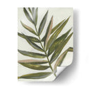 Pastel Frond Ii - Jennifer Goldberger | Cuadro decorativo de Canvas Lab