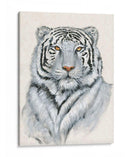 Tigre Blanco I - Tim OToole | Cuadro decorativo de Canvas Lab