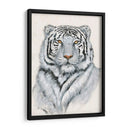 Tigre Blanco I - Tim OToole | Cuadro decorativo de Canvas Lab