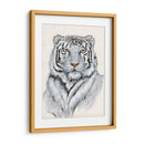 Tigre Blanco I - Tim OToole | Cuadro decorativo de Canvas Lab
