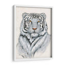 Tigre Blanco I - Tim OToole | Cuadro decorativo de Canvas Lab