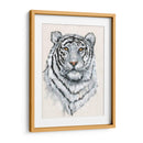 Tigre Blanco Ii - Tim OToole | Cuadro decorativo de Canvas Lab
