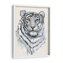 Tigre Blanco Ii - Tim OToole | Cuadro decorativo de Canvas Lab