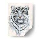 Tigre Blanco Ii - Tim OToole | Cuadro decorativo de Canvas Lab