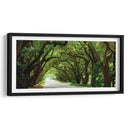 Canopy Road Panorama I - James McLoughlin | Cuadro decorativo de Canvas Lab