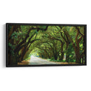 Canopy Road Panorama I - James McLoughlin | Cuadro decorativo de Canvas Lab