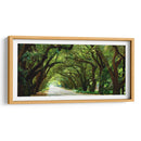 Canopy Road Panorama I - James McLoughlin | Cuadro decorativo de Canvas Lab