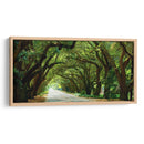 Canopy Road Panorama I - James McLoughlin | Cuadro decorativo de Canvas Lab