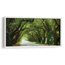 Canopy Road Panorama I - James McLoughlin | Cuadro decorativo de Canvas Lab