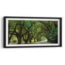 Canopy Road Panorama Ii - James McLoughlin | Cuadro decorativo de Canvas Lab