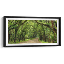 Canopy Road Panorama Iii - James McLoughlin | Cuadro decorativo de Canvas Lab