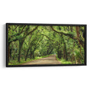 Canopy Road Panorama Iii - James McLoughlin | Cuadro decorativo de Canvas Lab