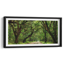 Canopy Road Panorama Iv - James McLoughlin | Cuadro decorativo de Canvas Lab