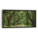 Canopy Road Panorama Iv - James McLoughlin | Cuadro decorativo de Canvas Lab