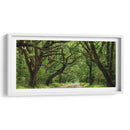 Canopy Road Panorama Iv - James McLoughlin | Cuadro decorativo de Canvas Lab