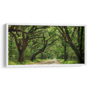 Canopy Road Panorama Iv - James McLoughlin | Cuadro decorativo de Canvas Lab