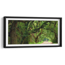 Canopy Road Panorama V - James McLoughlin | Cuadro decorativo de Canvas Lab