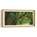 Canopy Road Panorama V - James McLoughlin | Cuadro decorativo de Canvas Lab