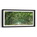 Canopy Road Panorama Vi - James McLoughlin | Cuadro decorativo de Canvas Lab