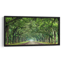 Canopy Road Panorama Vi - James McLoughlin | Cuadro decorativo de Canvas Lab