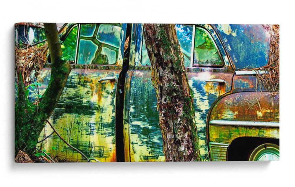Coche Cementerio Viii - James McLoughlin | Cuadro decorativo de Canvas Lab