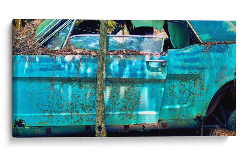 Coche Cementerio Xii - James McLoughlin | Cuadro decorativo de Canvas Lab