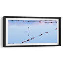 Cisne Y Cuerdas - James McLoughlin | Cuadro decorativo de Canvas Lab