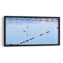 Cisne Y Cuerdas - James McLoughlin | Cuadro decorativo de Canvas Lab