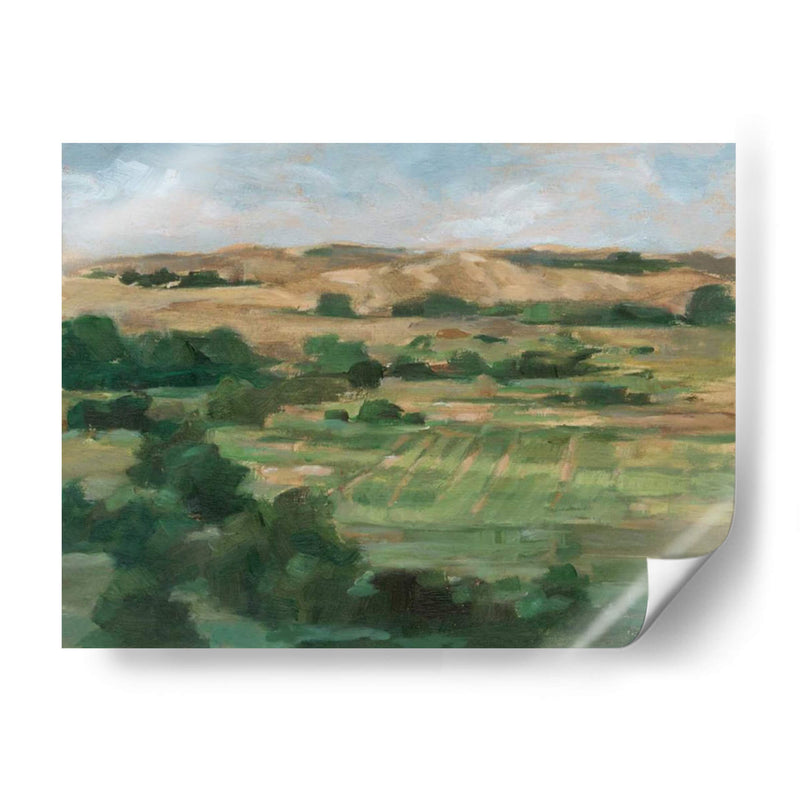 Campos Del Valle I - Ethan Harper | Cuadro decorativo de Canvas Lab