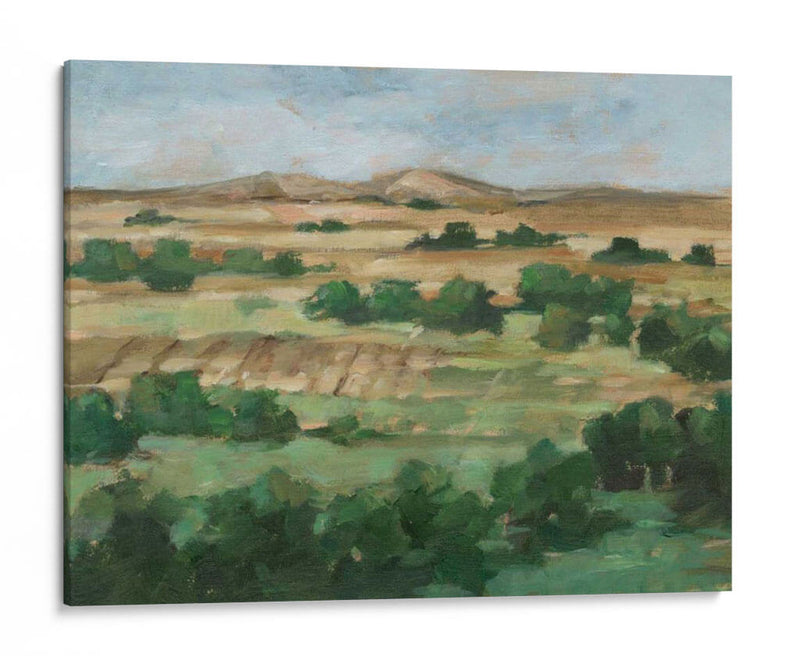 Valley Fields Ii - Ethan Harper | Cuadro decorativo de Canvas Lab