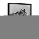 Retrato Equino De Carbón I - Gerard Paul Deshayes | Cuadro decorativo de Canvas Lab