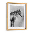 Retrato Equino De Carbón I - Gerard Paul Deshayes | Cuadro decorativo de Canvas Lab