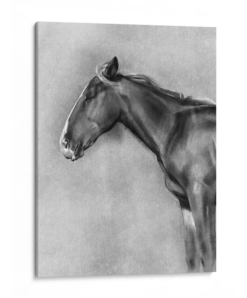 Retrato Equino De Carbón Ii - Gerard Paul Deshayes | Cuadro decorativo de Canvas Lab