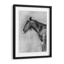 Retrato Equino De Carbón Ii - Gerard Paul Deshayes | Cuadro decorativo de Canvas Lab