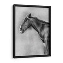 Retrato Equino De Carbón Ii - Gerard Paul Deshayes | Cuadro decorativo de Canvas Lab