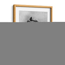 Retrato Equino De Carbón Ii - Gerard Paul Deshayes | Cuadro decorativo de Canvas Lab