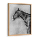 Retrato Equino De Carbón Ii - Gerard Paul Deshayes | Cuadro decorativo de Canvas Lab