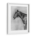 Retrato Equino De Carbón Ii - Gerard Paul Deshayes | Cuadro decorativo de Canvas Lab