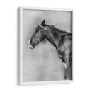 Retrato Equino De Carbón Ii - Gerard Paul Deshayes | Cuadro decorativo de Canvas Lab