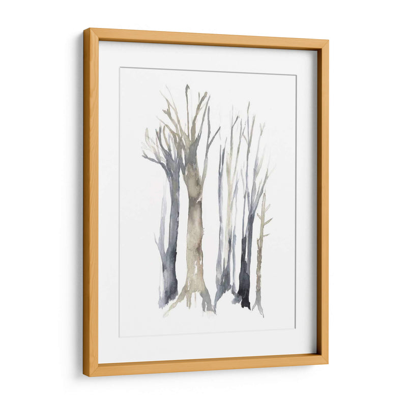 Neutral Treeline Ii - Jennifer Goldberger | Cuadro decorativo de Canvas Lab