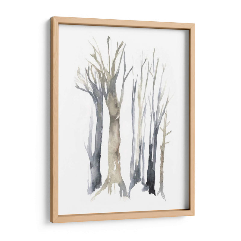 Neutral Treeline Ii - Jennifer Goldberger | Cuadro decorativo de Canvas Lab