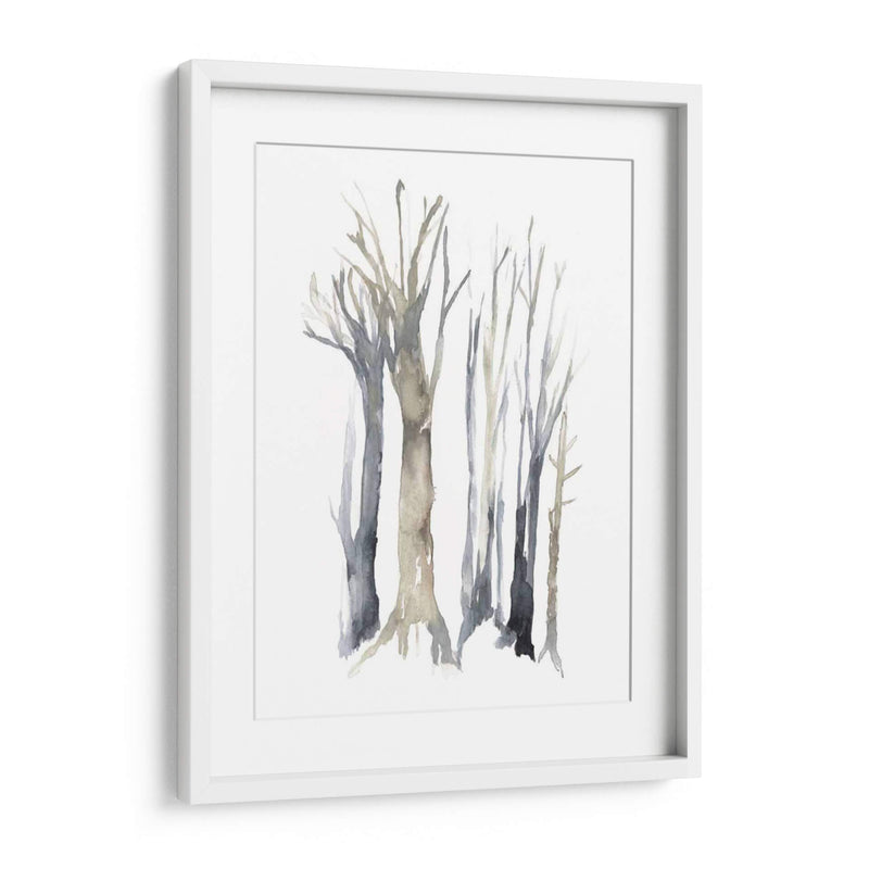 Neutral Treeline Ii - Jennifer Goldberger | Cuadro decorativo de Canvas Lab