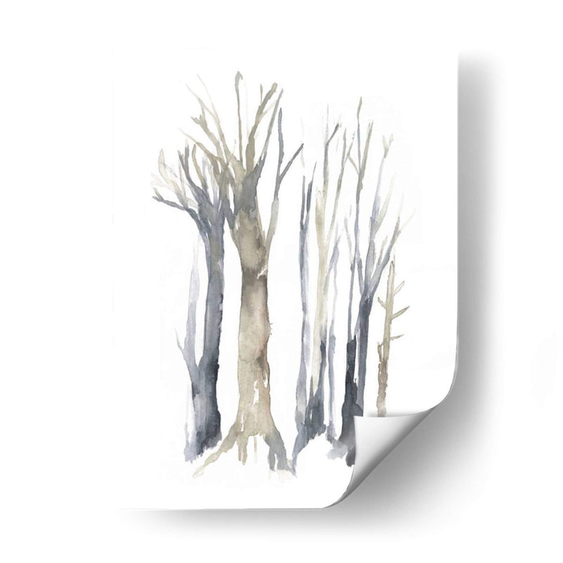 Neutral Treeline Ii - Jennifer Goldberger | Cuadro decorativo de Canvas Lab