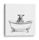 Crista De Cawfoot Iii - Victoria Borges | Cuadro decorativo de Canvas Lab