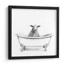 Crista De Cawfoot Iii - Victoria Borges | Cuadro decorativo de Canvas Lab
