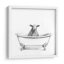 Crista De Cawfoot Iii - Victoria Borges | Cuadro decorativo de Canvas Lab