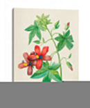 Malva de risco vintage | Cuadro decorativo de Canvas Lab