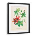 Malva de risco vintage | Cuadro decorativo de Canvas Lab